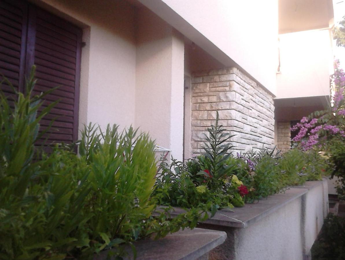 Apartments With A Parking Space Zadar - Diklo, Zadar - 13327 المظهر الخارجي الصورة